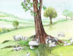 Lambs Scene